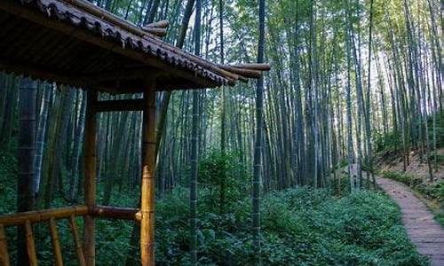 蜀南竹海天气预报一周_蜀南竹海天气预报1